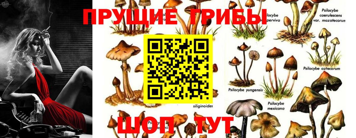 Усинск  Псилоцибиновые грибы мухоморы  Вход с VPN 