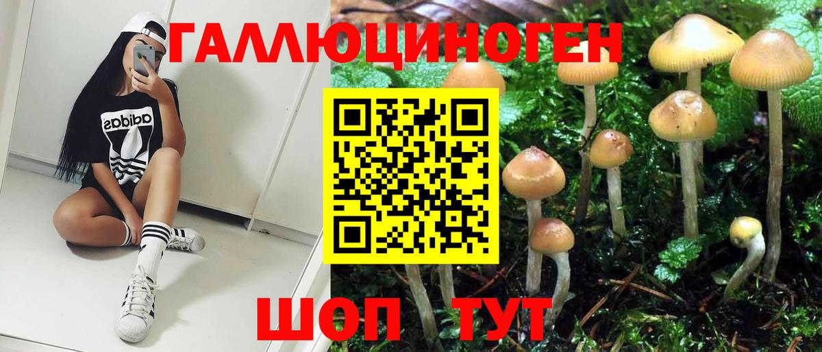 Псилоцибиновые грибы мицелий Усинск